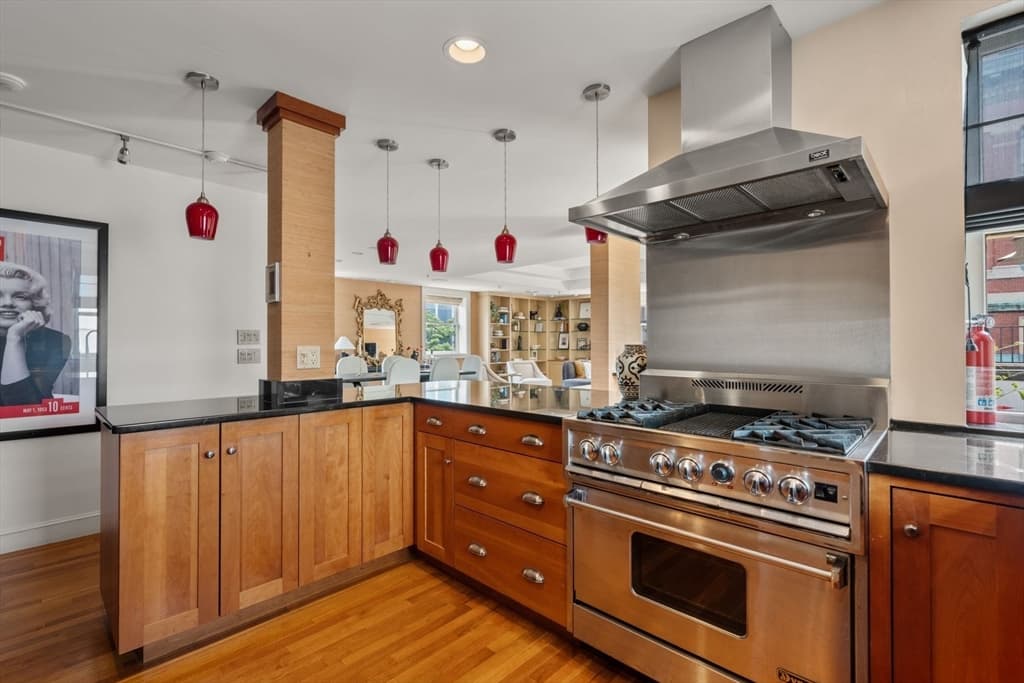 Condominium at 57 E Concord St # 9, Boston MA 02118, Boston, photo 13 of 31