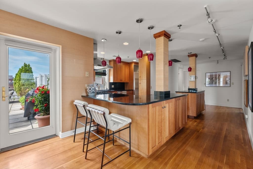 Condominium at 57 E Concord St # 9, Boston MA 02118, Boston, photo 12 of 31