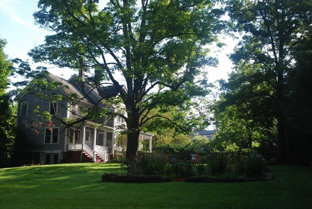 254 Lincoln, Amherst MA 01002 photo 35