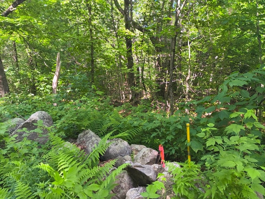 lot 2 Holcomb Road, Chester MA 01011 photo 2