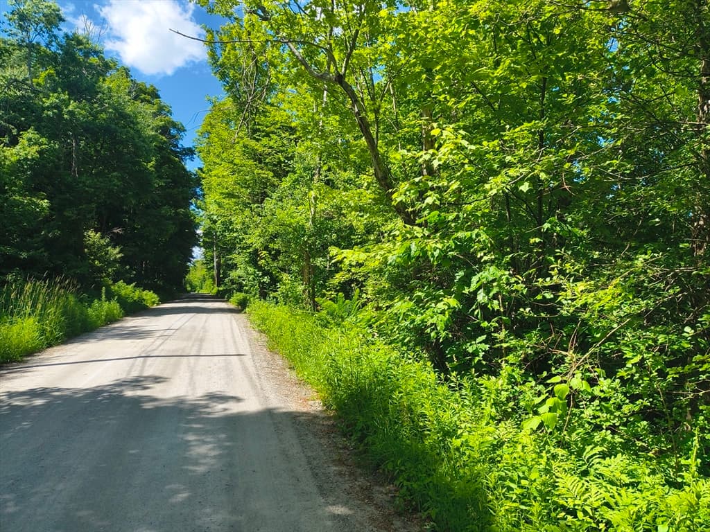 lot 2 Holcomb Road, Chester MA 01011 photo 3