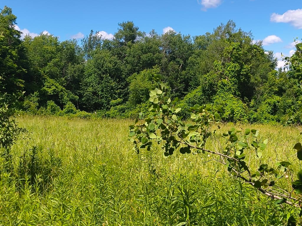 lot 4 Holcomb Road, Chester MA 01011 photo 2
