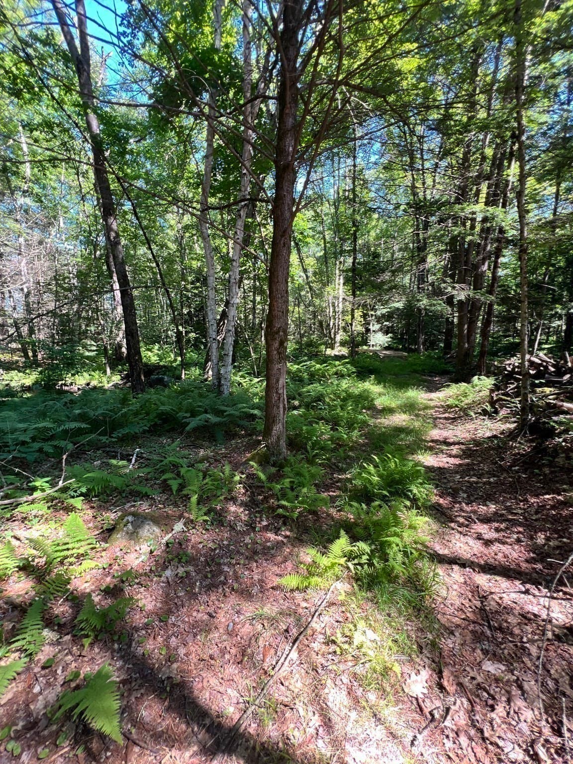 Land at M-2 L-94 School St, Winchendon MA 01475, photo 13 of 21
