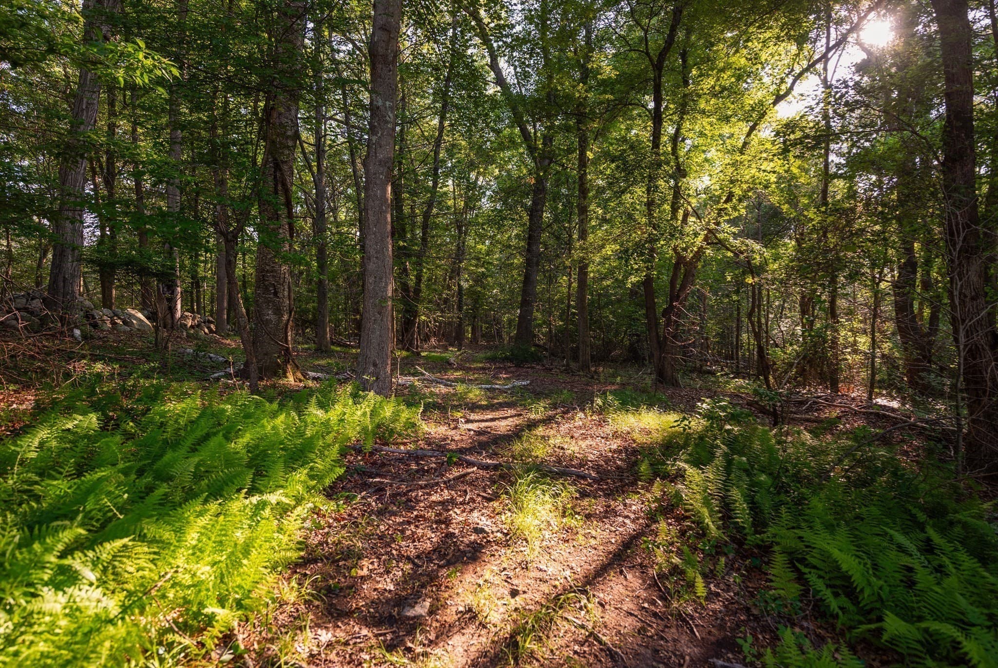 0 Belcher St, Essex MA 01929