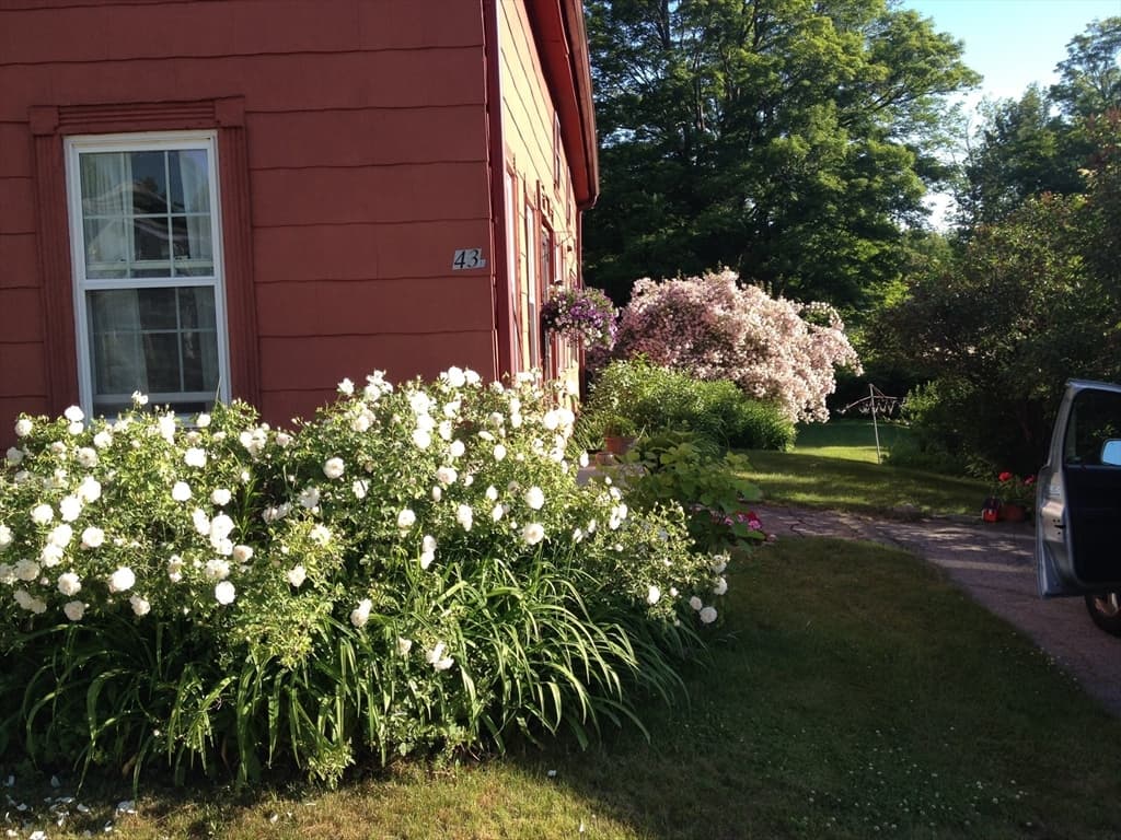 43 Summer St, Barre MA 01005 photo 5