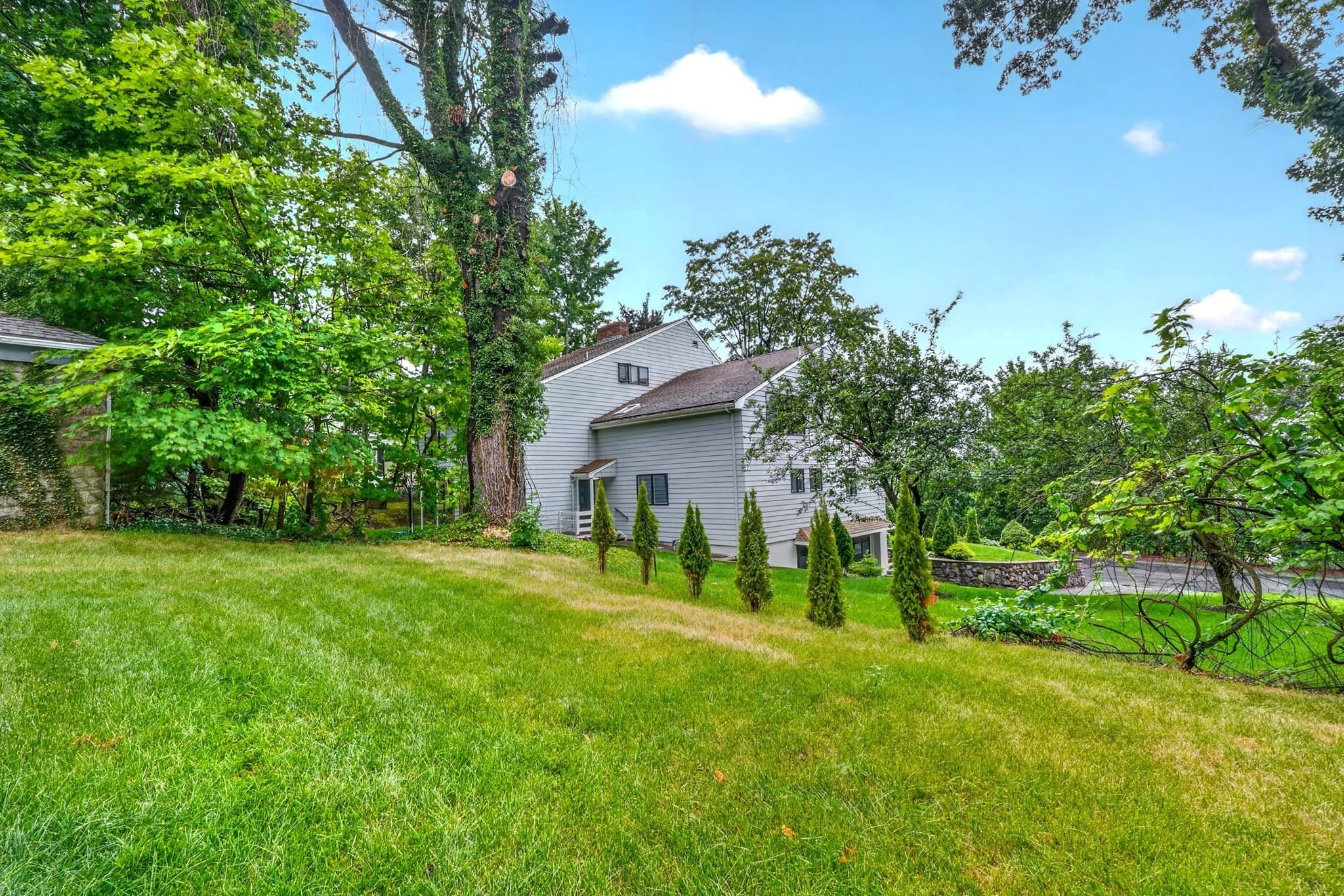 Condominium at 123-125 Mount Vernon Street # 1, Newton MA 02465, Newton, photo 41 of 42