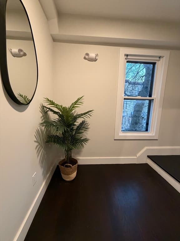 57 Hurley St. # 3, Cambridge MA 02141 photo 21