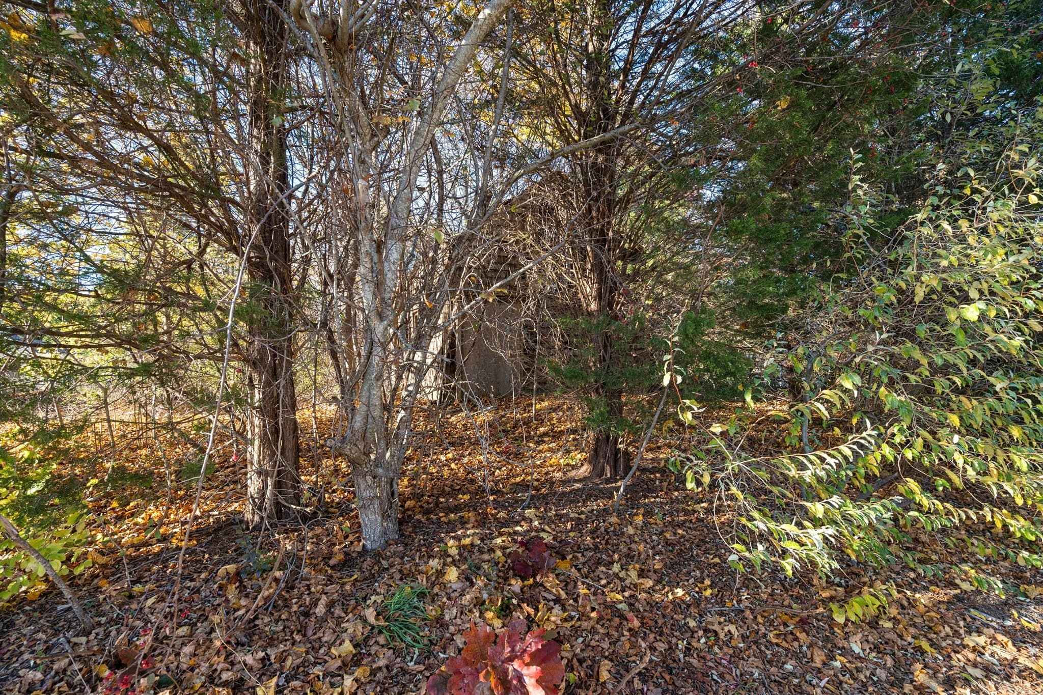 Residential at 20 Brewster Avenue, Kingston MA 02364, Kingston, photo 6 of 8