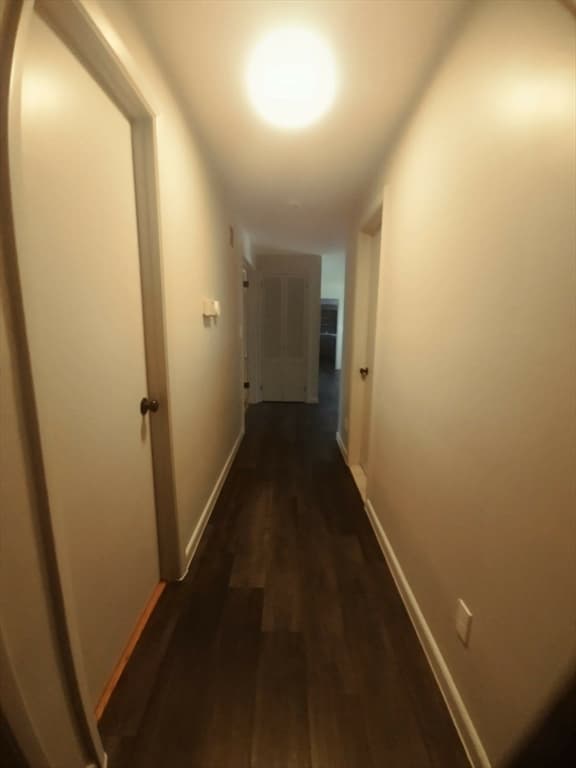68 Dayton St, Springfield MA 01118 photo 13