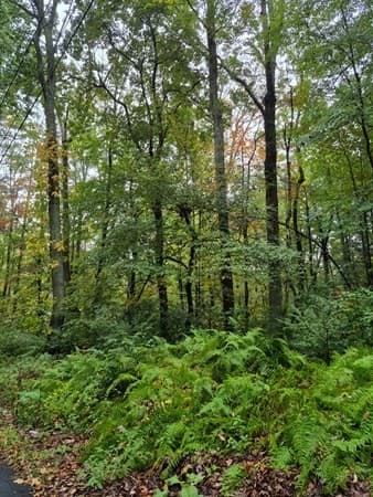 0 Blackmer Rd, Southbridge MA 01550
