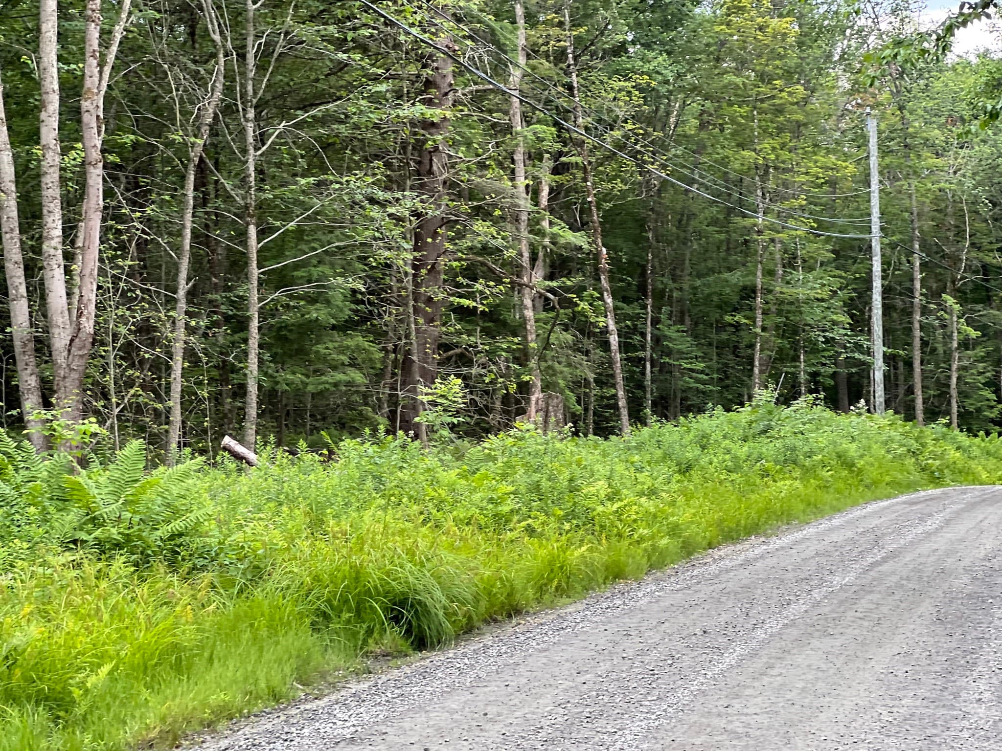 Lot 19 Becket Rd, Middlefield MA 01243