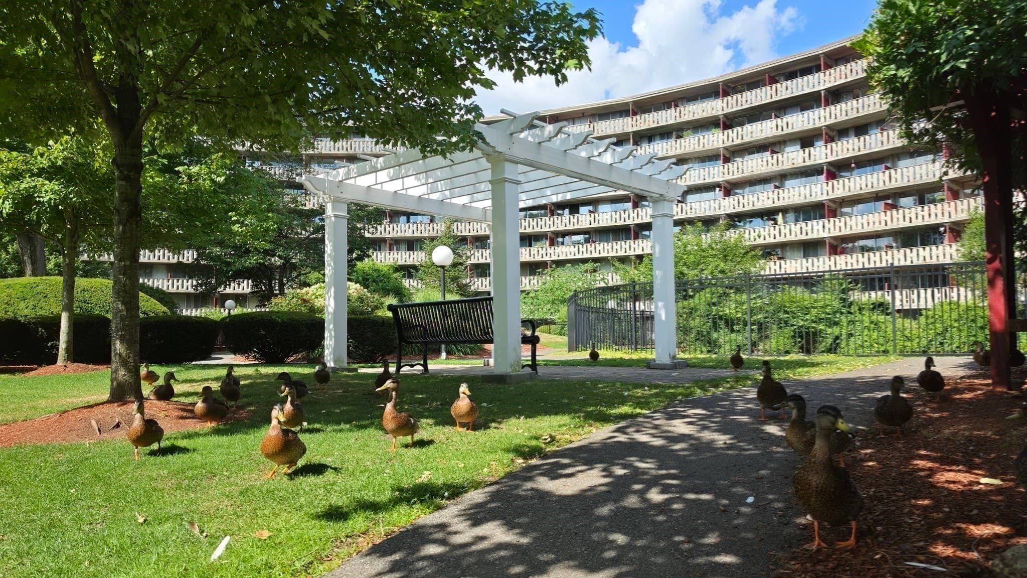 Condominium at 200 Swanton # L8, Winchester MA 01890, Winchester, photo 16 of 28