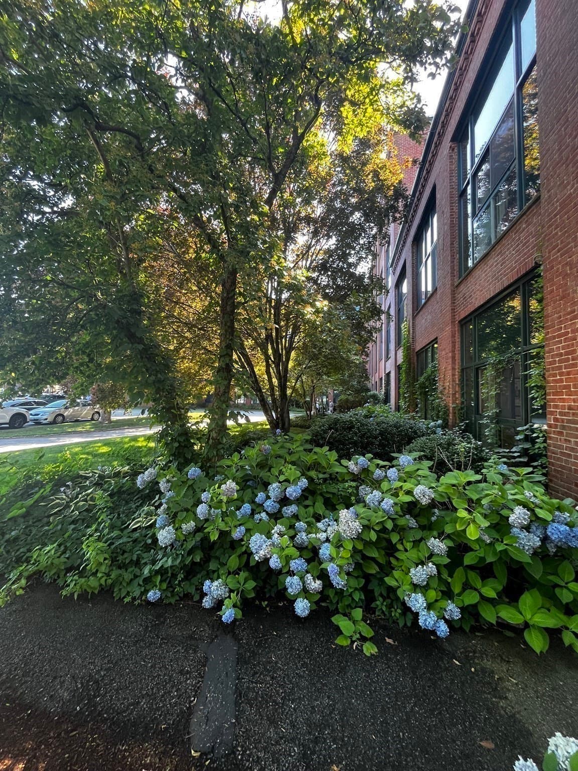 Condominium at 150 Rumford Avenue # 418, Mansfield MA 02048, photo 29 of 30