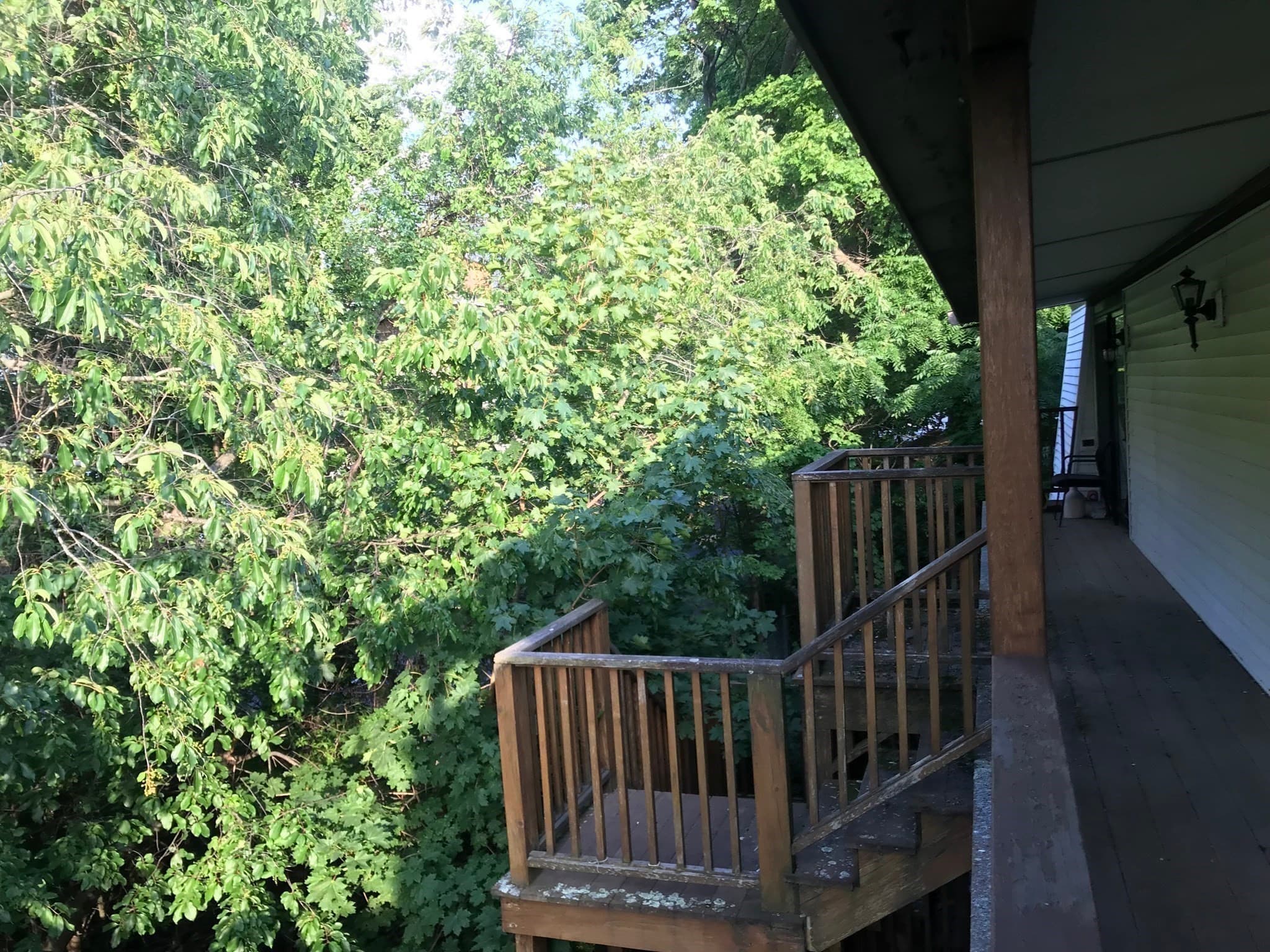 Condominium at 1 Atkinson Drive # 5, Saugus MA 01906, photo 28 of 32
