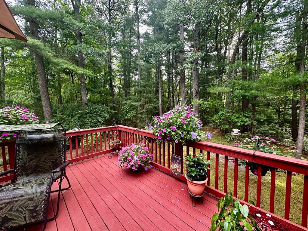 71 Harvey St, Taunton MA 02780 photo 22
