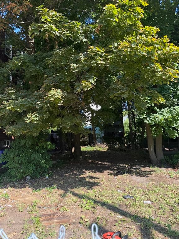 3 Family at 21 Wildwood St, Boston MA 02124, Boston, photo 12 of 12