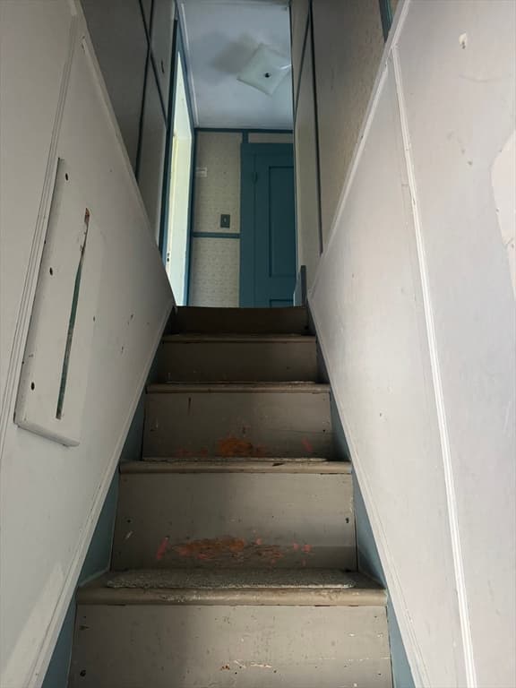 185 College St., Worcester MA 01610 photo 23