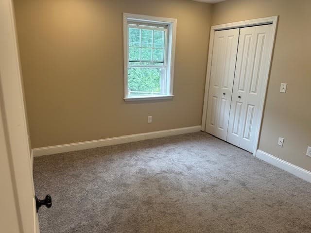 34 Carpenter Ave, Worcester MA 01605 photo 28