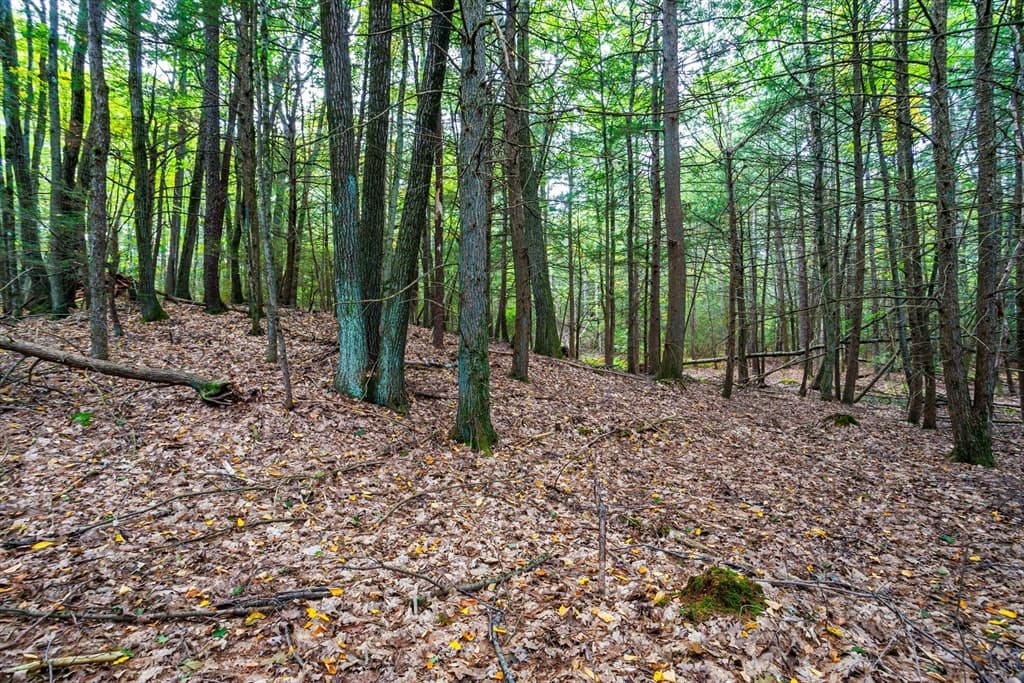 0 Riceville, Athol MA 01331 photo 15