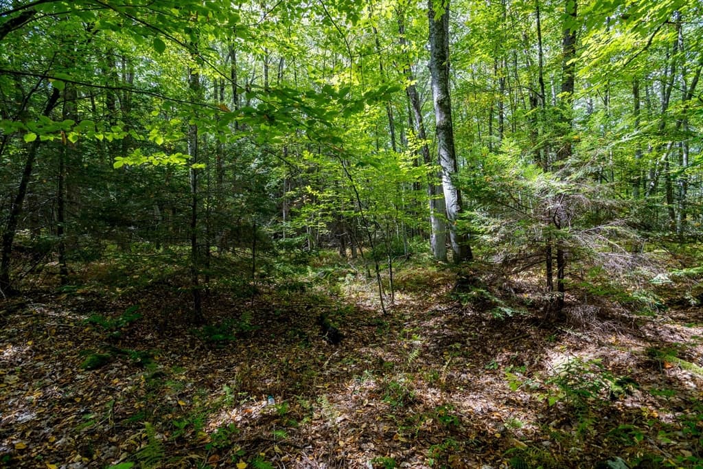 0 Riceville, Athol MA 01331 photo 11