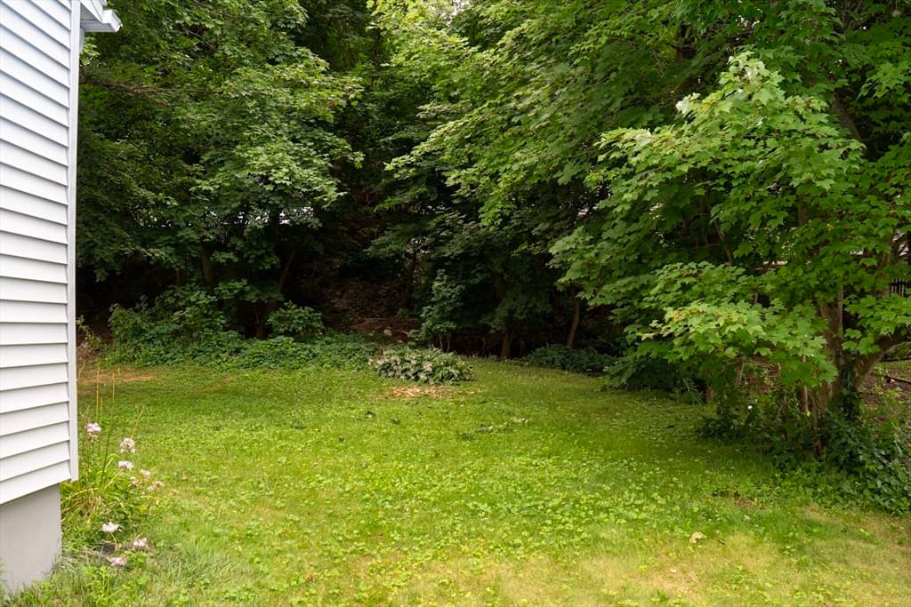 159 Roy, Springfield MA 01104 photo 6