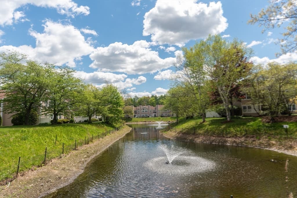 8 Canvasback Way # 8, Walpole MA 02081 photo 37