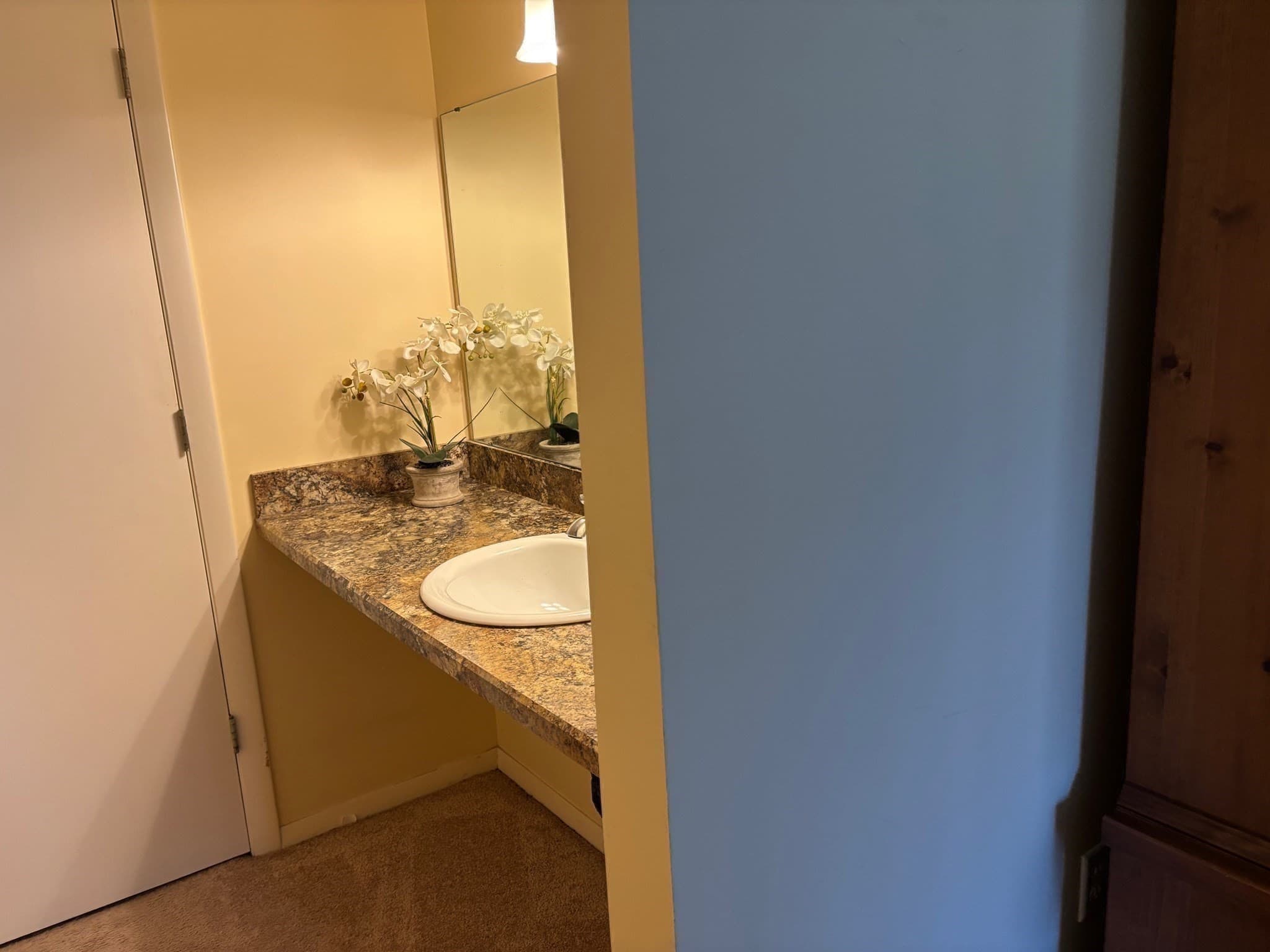 Condominium at 220 Nassau Drive # 220, Springfield MA 01129, Springfield, photo 13 of 25