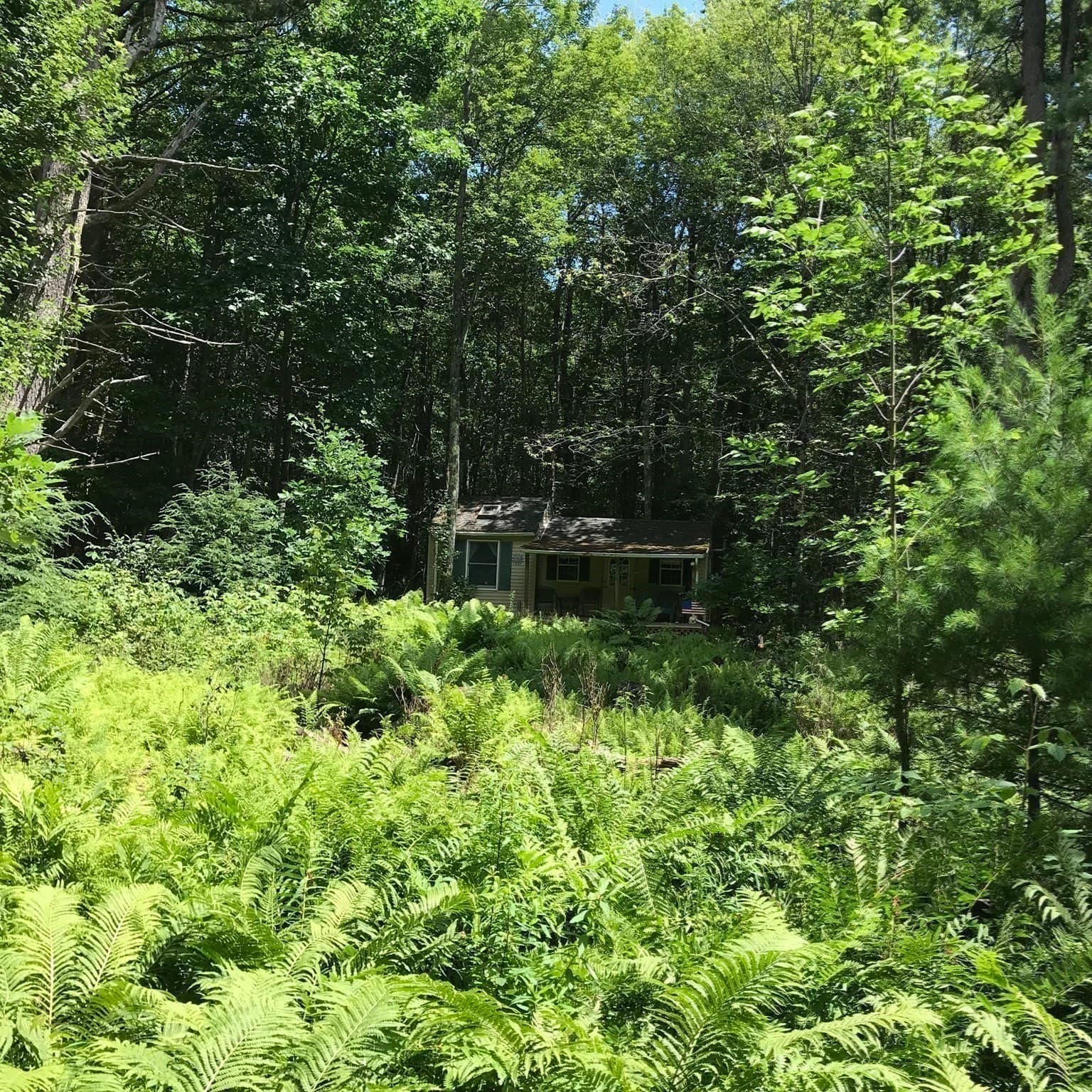 Residential at Lot 13 Algerie Rd, Otis MA 01253, photo 17 of 17