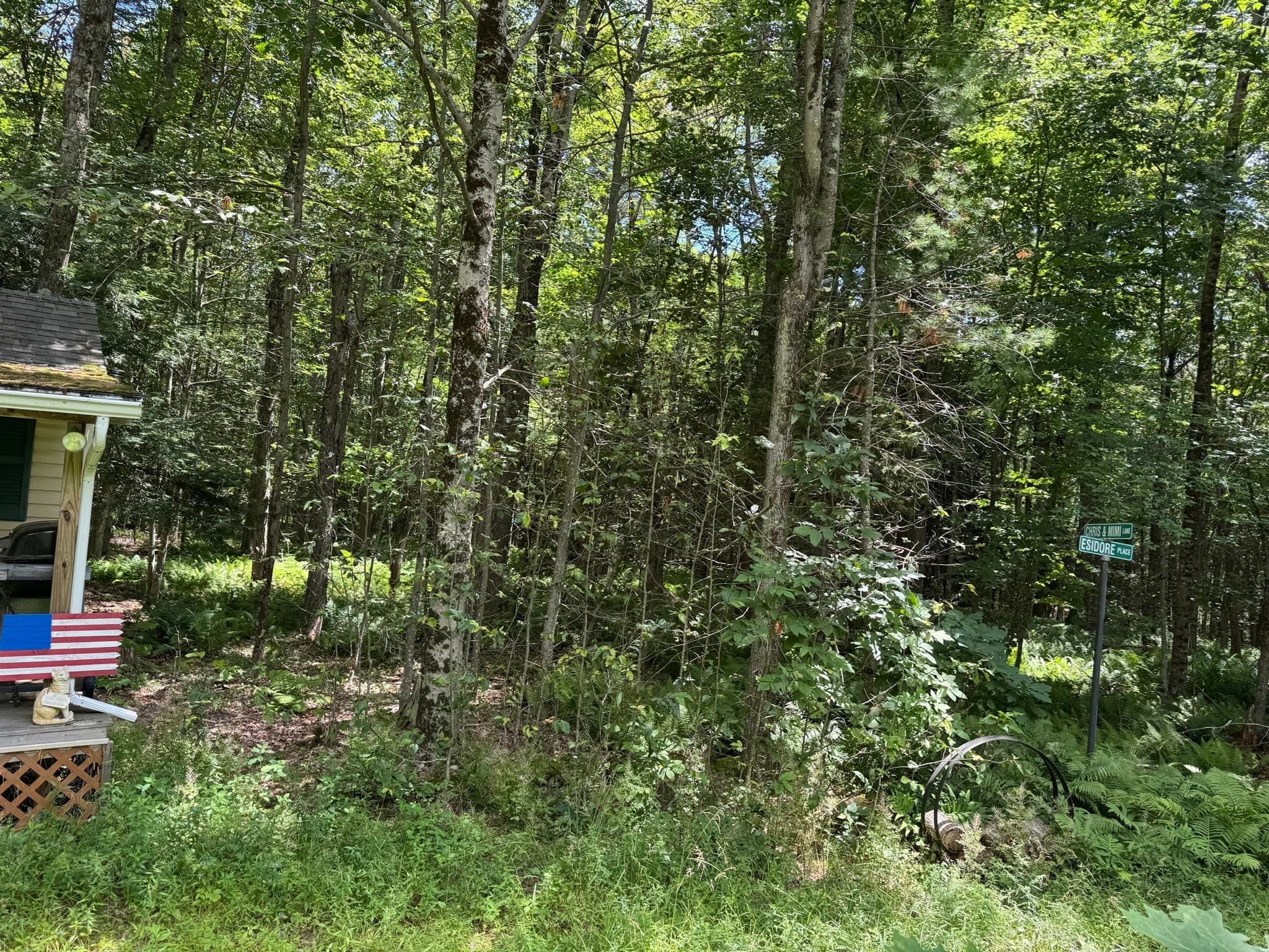 Residential at Lot 13 Algerie Rd, Otis MA 01253, photo 3 of 17