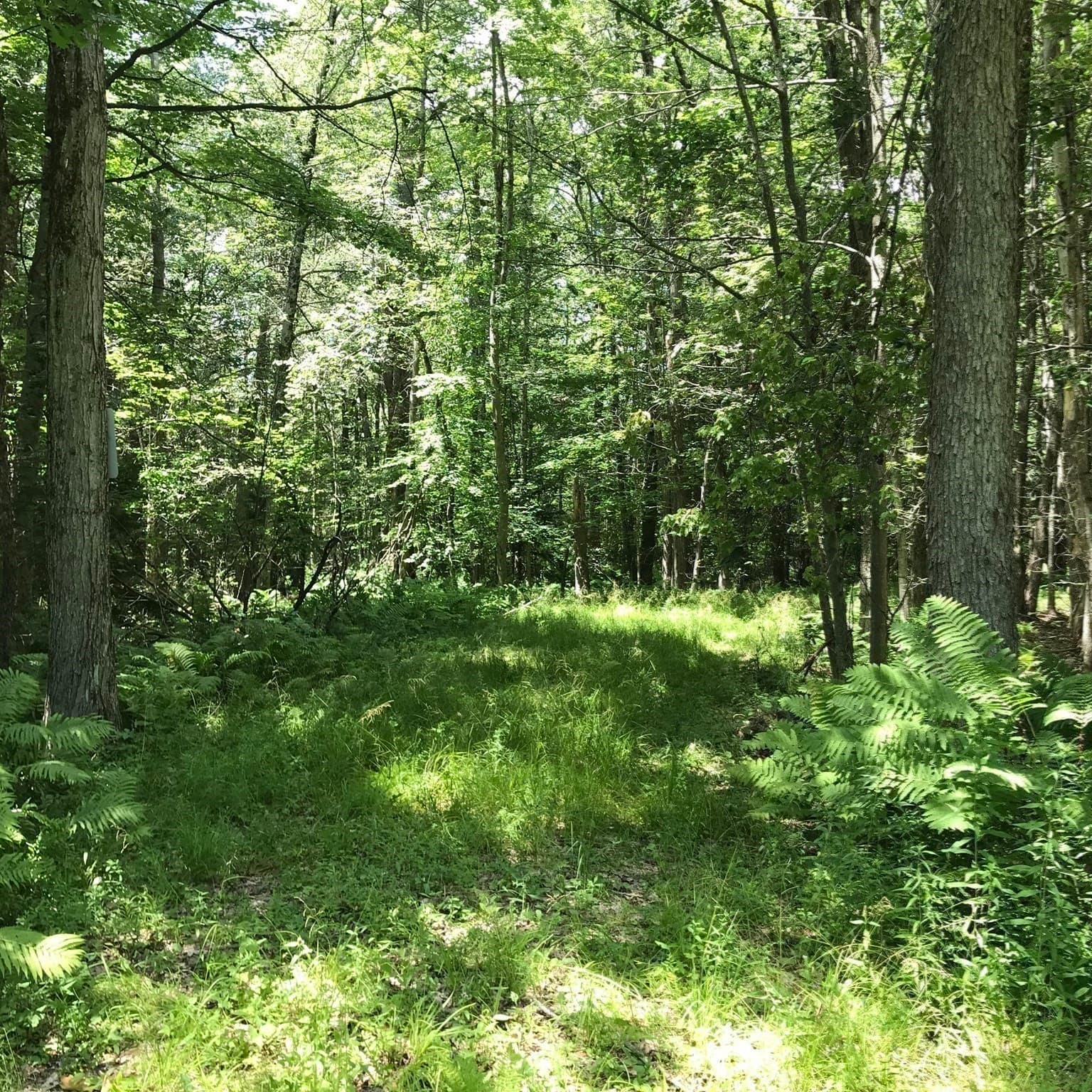 Residential at Lot 13 Algerie Rd, Otis MA 01253, photo 14 of 17