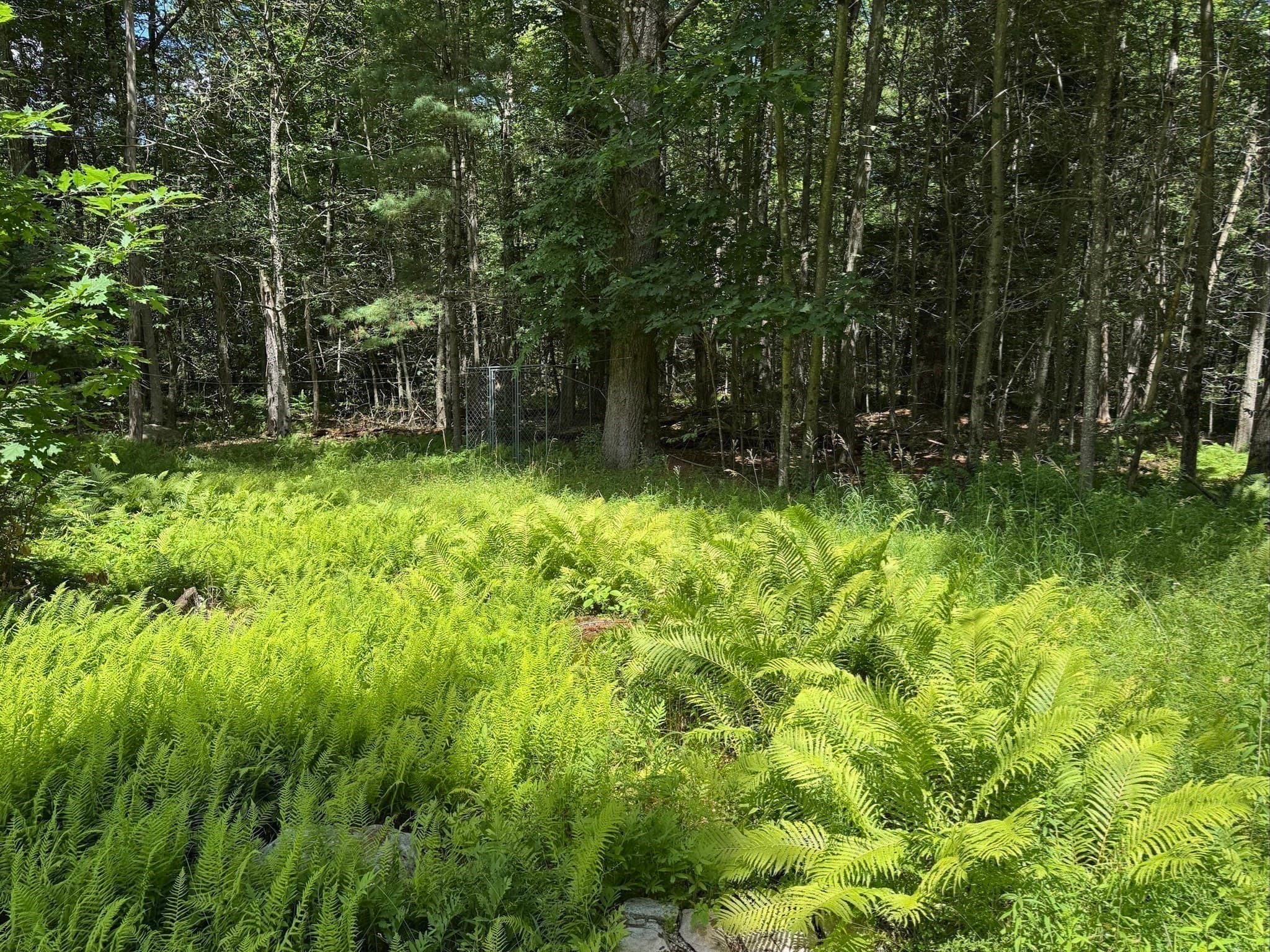 Residential at Lot 13 Algerie Rd, Otis MA 01253, photo 15 of 17