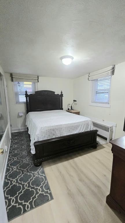 11 Stow Rd, Boston MA 02126 photo 15