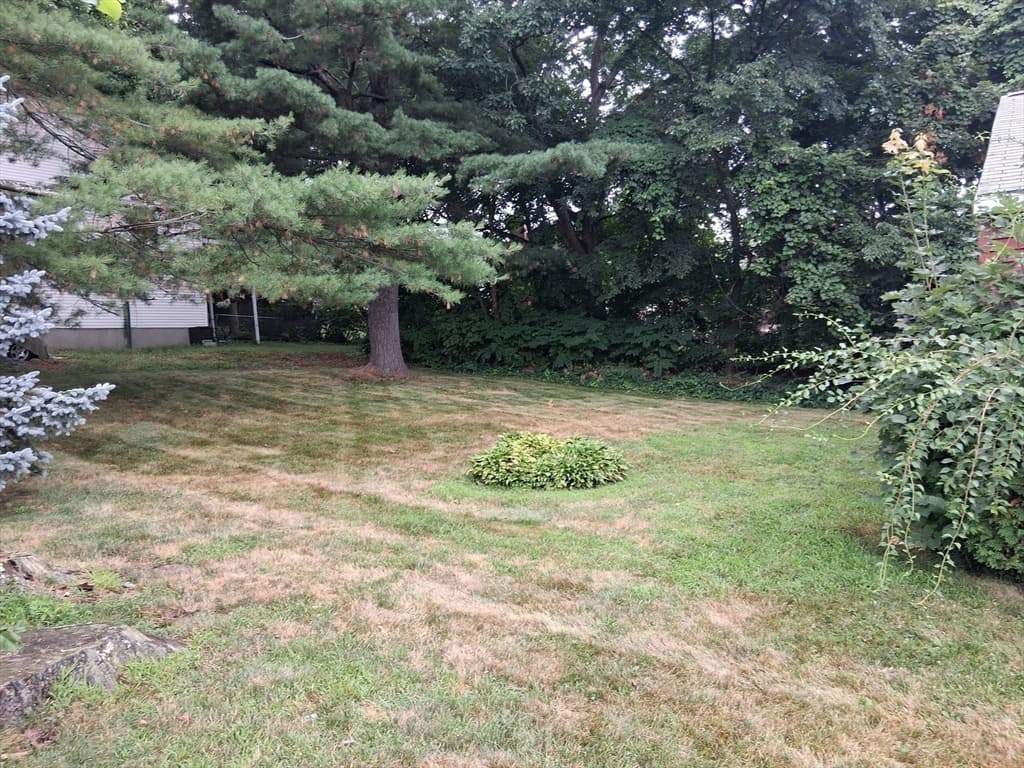 45 Erie Ave, Worcester MA 01605 photo 3