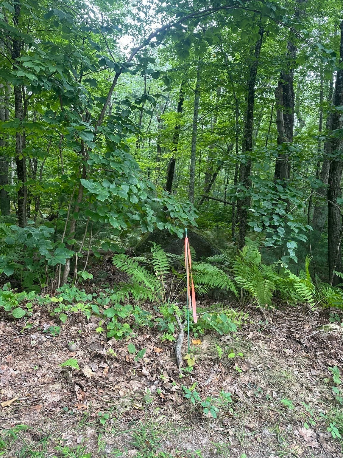 Residential at Parcel 2 Ayres, Monson MA 01057, photo 2 of 5