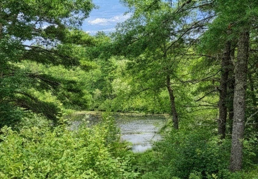 10 Pond Edge Trl, Wareham MA 02571 photo 36