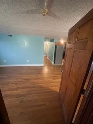 85 Munroe St, Boston MA 02119 photo 2