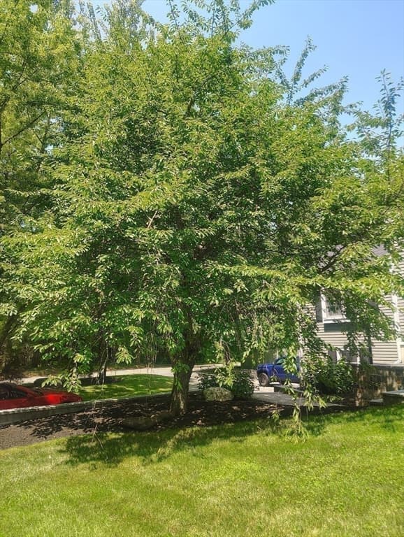 6 Forest Street, Raynham MA 02767 photo 40