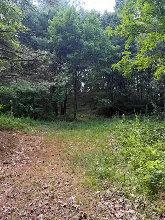 293 Warren Rd, Brimfield MA 01010 photo 3