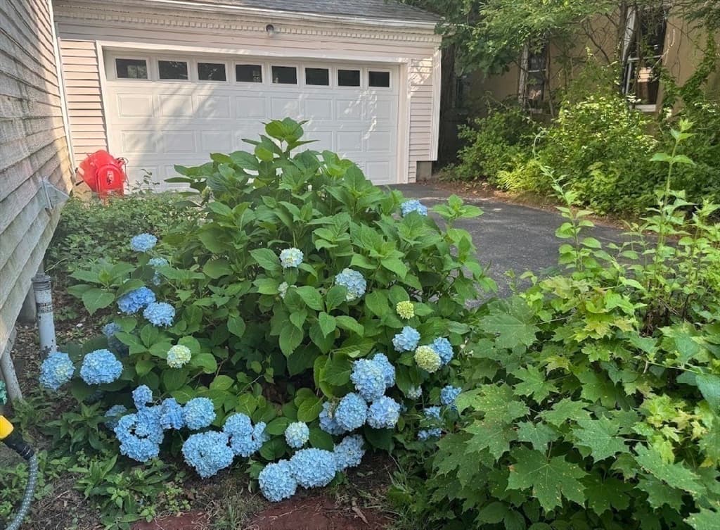 22 Bluff Ave, Fitchburg MA 01420 photo 6