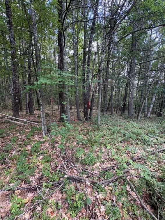 0 Lake Ave To Lake Ave Ext., Orange MA 01364 photo 34