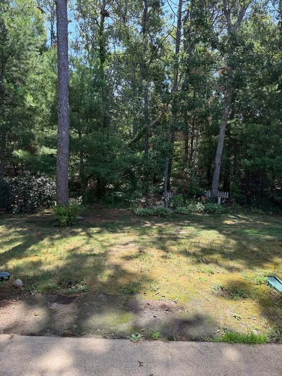 300 Falmouth Rd # 19C, Mashpee MA 02649 photo 6
