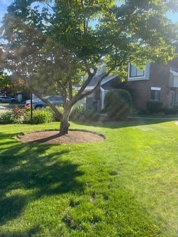 272 Greenbrook Drive # 272, Stoughton MA 02072 photo 4