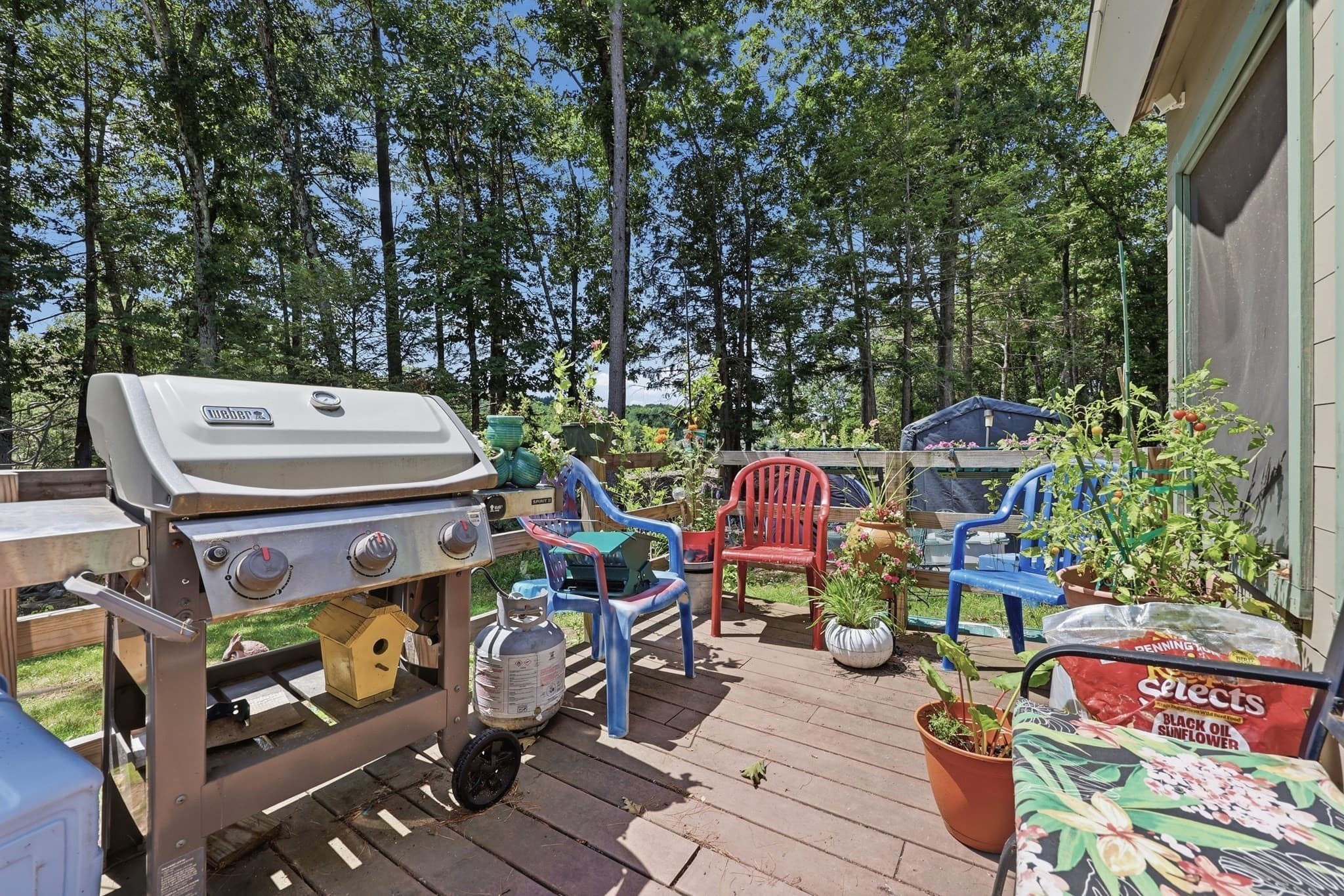 Single Family Residence at 10 Evergreen Drive, Hampstead NH 03841, Hampstead, photo 33 of 37