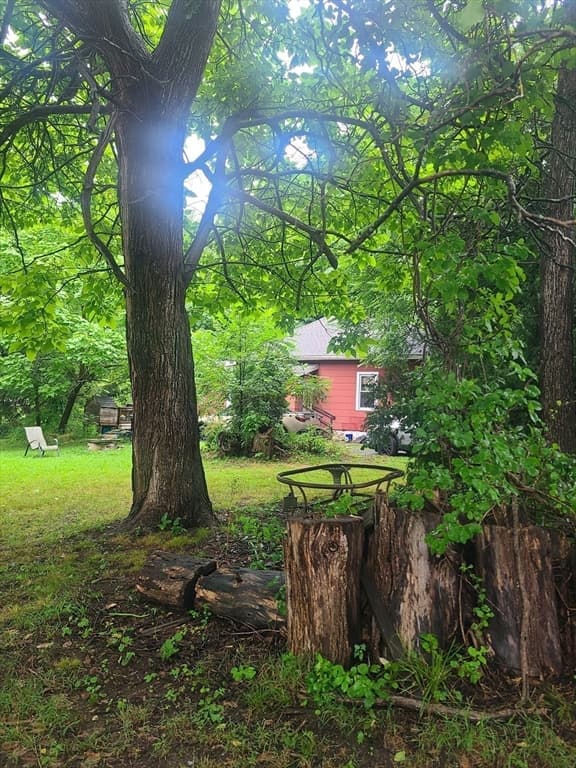 8 White St, Wilbraham MA 01095 photo 4