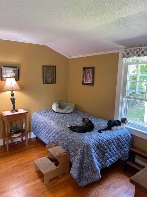 Single Family Residence at 374 Wilbraham Road, Hampden MA 01036, Hampden, photo 23 of 37