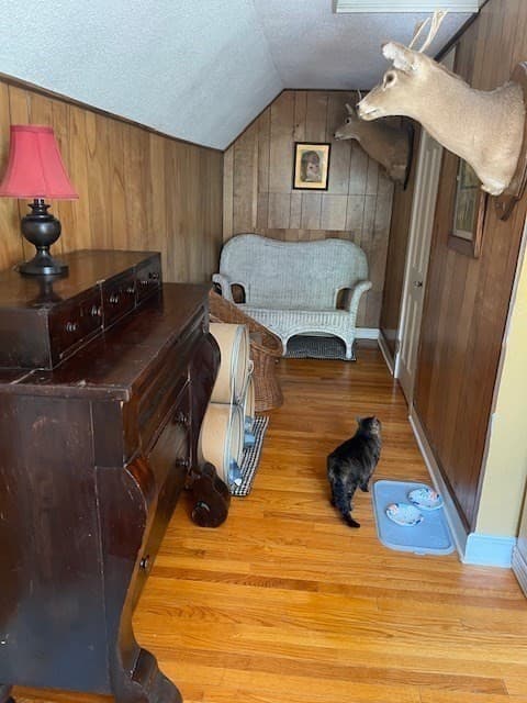 Single Family Residence at 374 Wilbraham Road, Hampden MA 01036, Hampden, photo 25 of 37