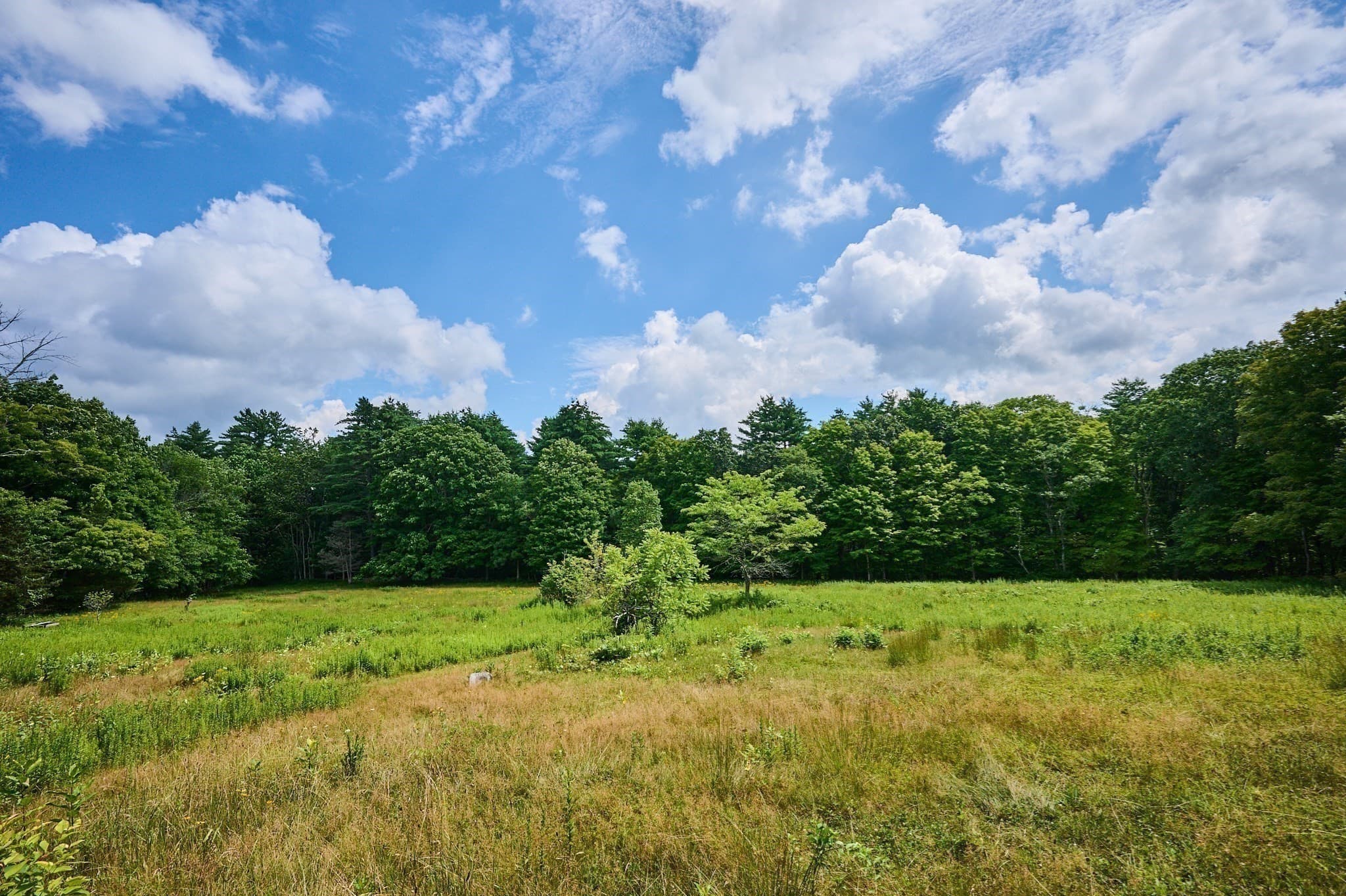 Single Family Residence at 65 Montague Road, Leverett MA 01054, Leverett, photo 3 of 42