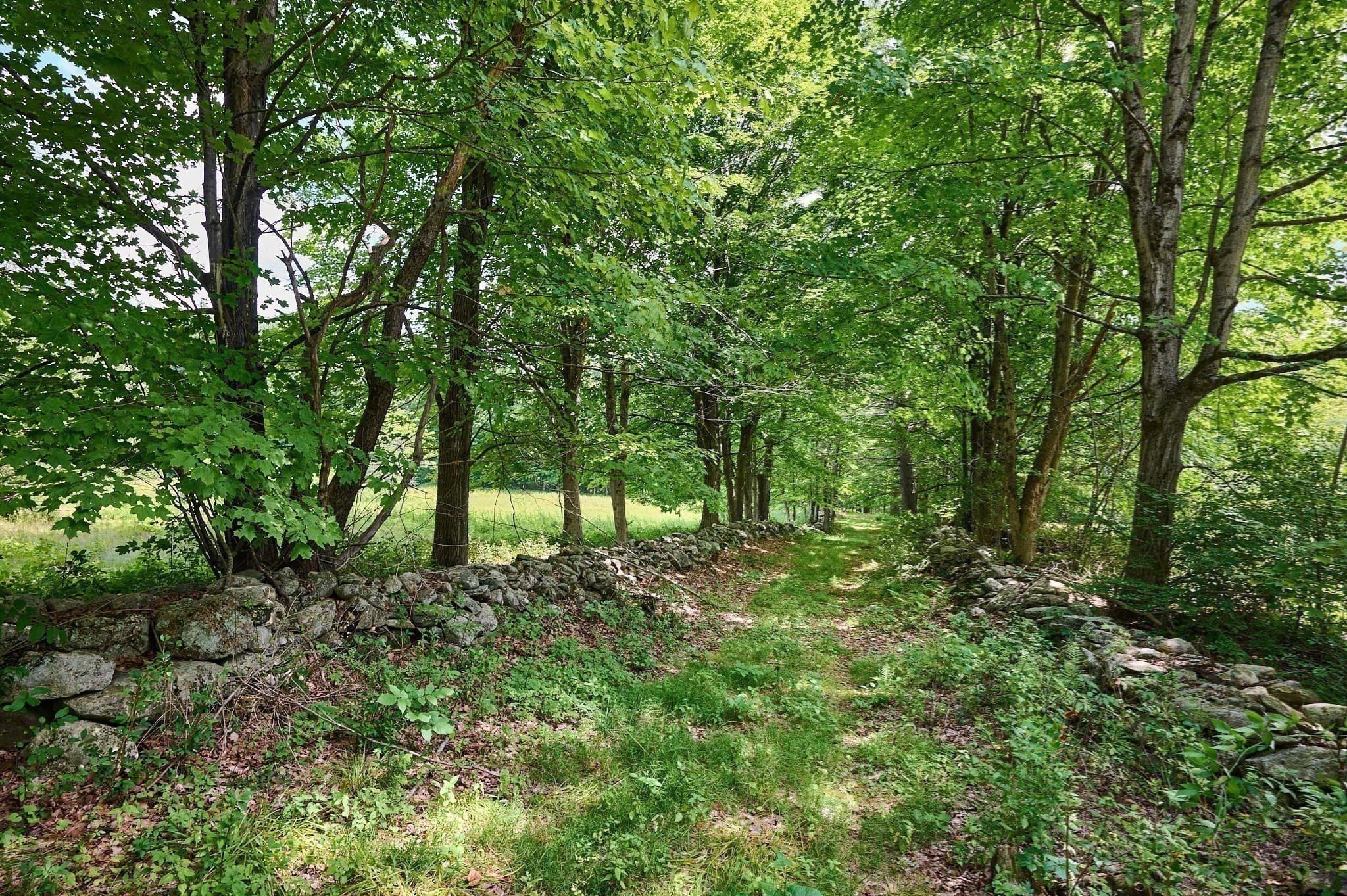 Single Family Residence at 65 Montague Road, Leverett MA 01054, Leverett, photo 8 of 42