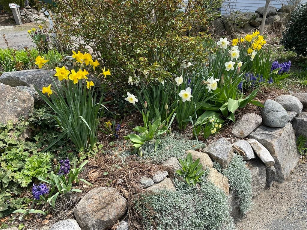 17 Highland Street # 1, Rockport MA 01966 photo 37