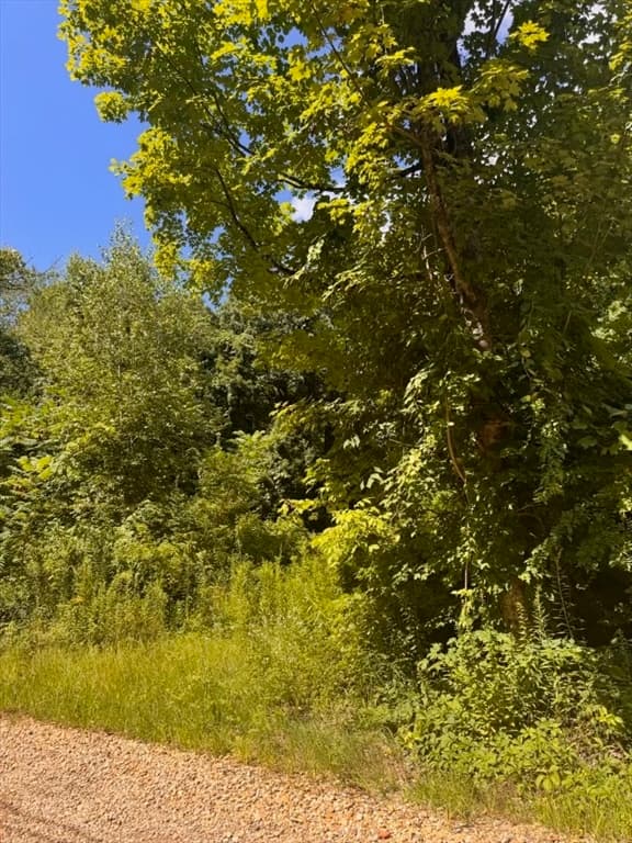 264 Breen Road, Hardwick MA 01082 photo 12
